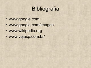 Bibliografia
• www.google.com
• www.google.com/images
• www.wikipedia.org
• www.vejasp.com.br/
 