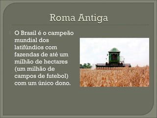  O Brasil é o campeão
mundial dos
latifúndios com
fazendas de até um
milhão de hectares
(um milhão de
campos de futebol)
com um único dono.
 