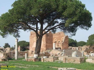 Ostia Antica - forum 