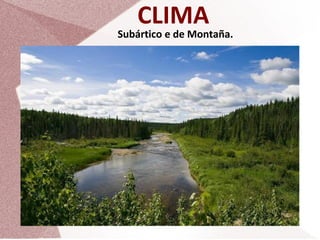 CLIMA

Subártico e de Montaña.

 