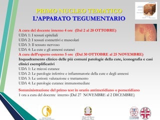 PRIMO NUCLEO TEMATICO
L’APPARATO TEGUMENTARIO
A cura del docente interno 4 ore (Dal 2 al 28 OTTOBRE)
UDA 1: I tessuti epiteliali
UDA 2: I tessuti connettivi e muscolari
UDA 3: Il tessuto nervoso
UDA 4: La cute e gli annessi cutanei
A cura dell’esperto esterno 5 ore (Dal 30 OTTOBRE al 25 NOVEMBRE)
Inquadramento clinico delle più comuni patologie della cute, iconografia e casi
clinici esemplificativi
UDA 1: Le micosi cutanee
UDA 2: Le patologie infettive e infiammatorie della cute e degli annessi
UDA 3: Le ustioni: valutazione e trattamento
UDA 4: Le patologie cutanee immunomediate
Somministrazione del primo test in orario antimeridiano o pomeridiano
1 ora a cura del docente interno (Dal 27 NOVEMBRE al 2 DICEMBRE)
 