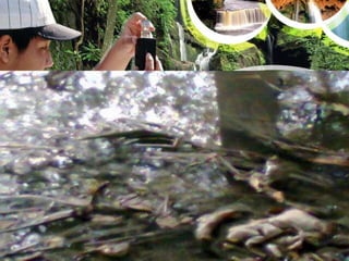 La inconsciencia de las personas que arrojan desperdicios en su rivera y sus alrededores