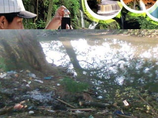 También podemos encontrar de desperdicios de basura, gomas, desembocadero de las aguas ligada a las grasas de los vehículos de talleres de mecánica arrojadas al río y a parte de este tipo de contaminación se extraen sus arenas y cortan los árboles que le protegen de que los rayos solares lleguen a el directamente.
