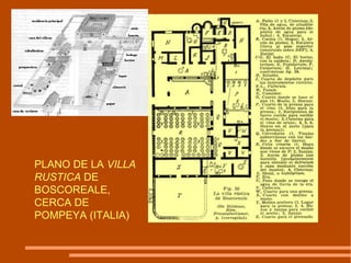 PLANO DE LA  VILLA RUSTICA  DE BOSCOREALE, CERCA DE POMPEYA (ITALIA)  