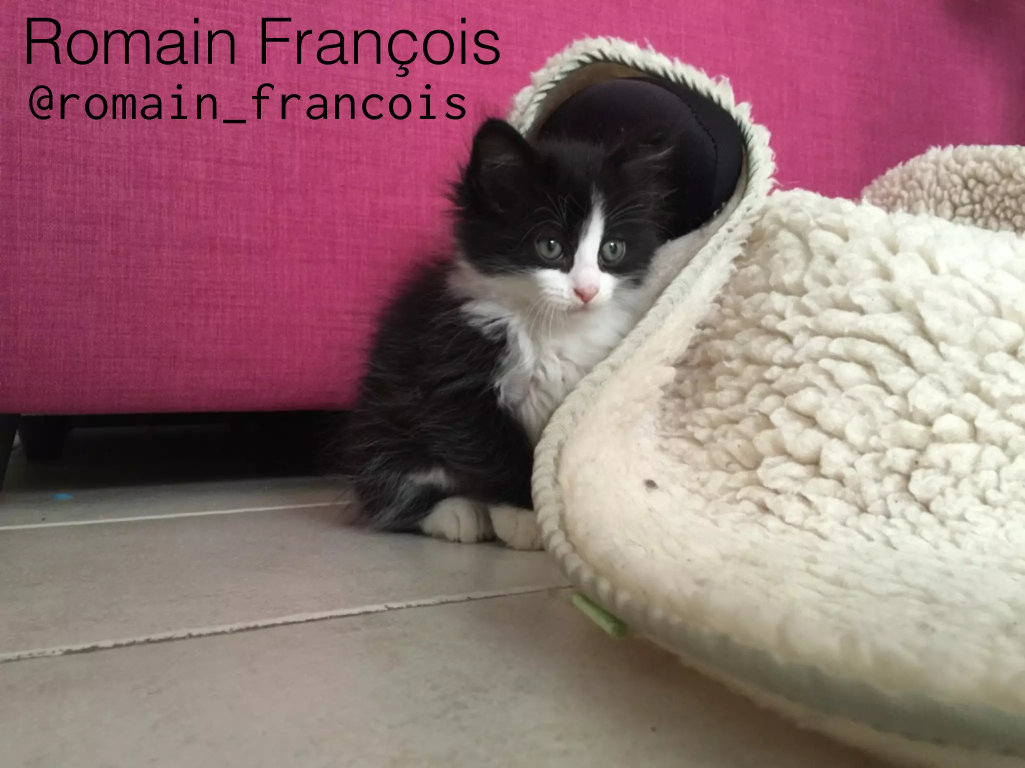 Romain François
@romain_francois
 