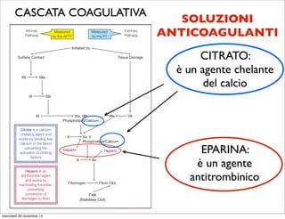 Figure 3. The Coagulation Cascade
(Adapted from the American Association for Clinical Chemistry1
)
Surface Contact
XII XIIa
VIIa VII
XI XIa
X Xa. V
Phospholipid/Calcium
II IIa
Fibrinogen
Heparin Heparin
Fibrin Clot
FXIII
(Stabilises Clot)
IXa. VIII
Phospholipid/Calcium
IX
Heparin is an
antithrombin agent
and works by
inactivating thrombin,
preventing
conversion of
fibrinogen to fibrin
Citrate is a calcium
chelating agent and
works by binding free
calcium in the blood
preventing the
activation of clotting
factors
Initiated by
Intrinsic
Pathway
Extrinsic
Pathway
Measured
by the APTT
Measured
by the PT
Tissue Damage
EPARINA:
è un agente
antitrombinico
CITRATO:
è un agente chelante
del calcio
SOLUZIONI
ANTICOAGULANTI
CASCATA COAGULATIVA
mercoledì 26 novembre 14
 