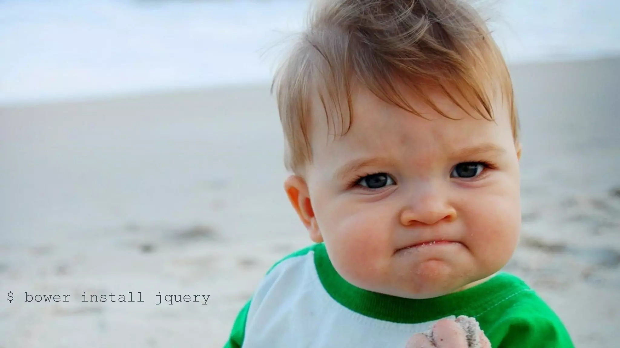 $ bower install jquery 