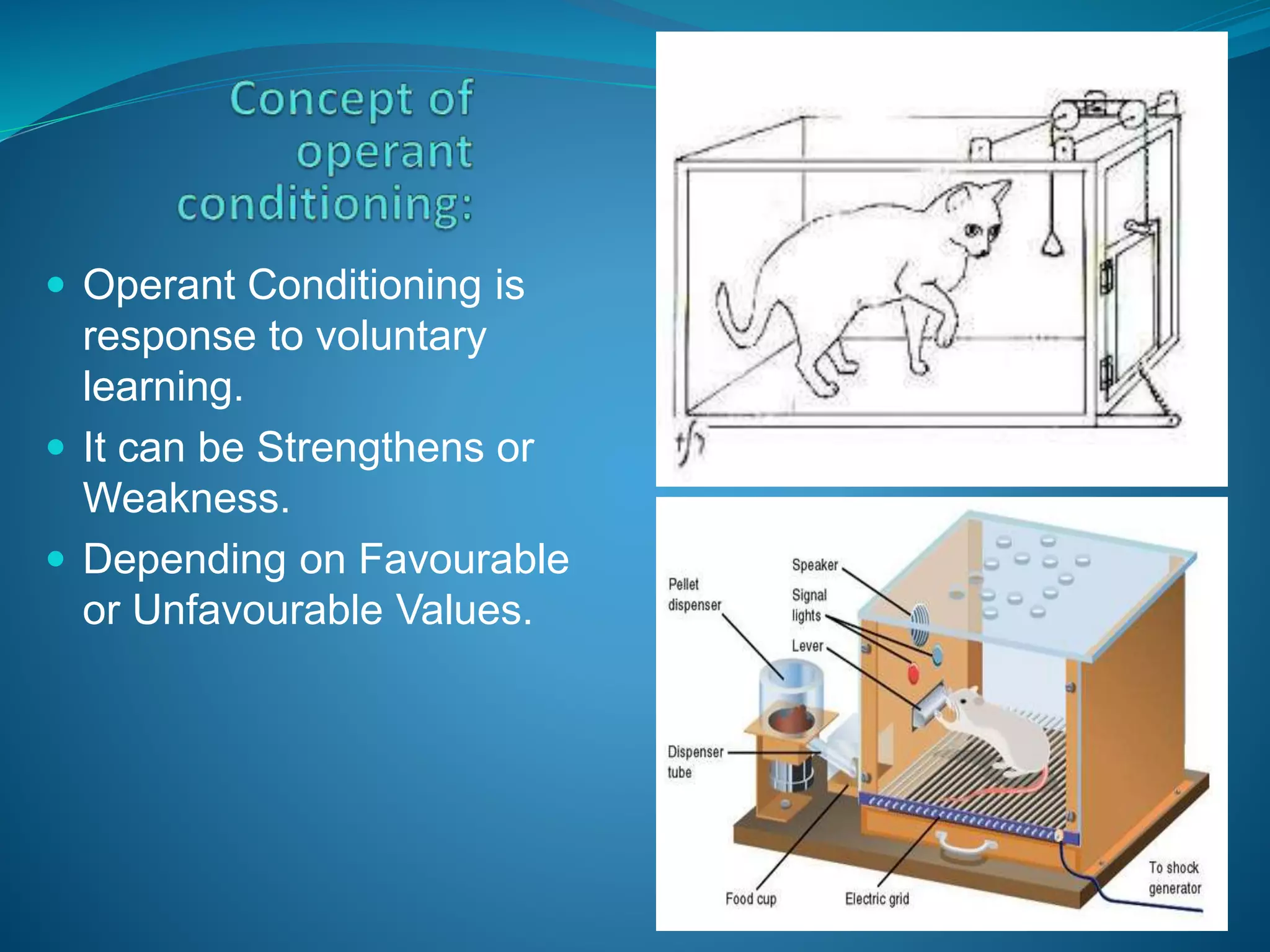  Operant Conditioning is
response to voluntary
learning.
It can be Strengthens or
Weakness.
Depending on Favourable
or Unfavourable Values.