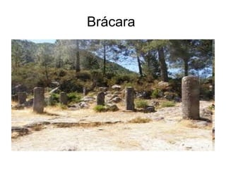 Brácara
 