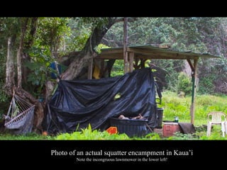 Photo of an actual squatter encampment in Kauai
Note the incongruous lawnmower in the lower left!
 
