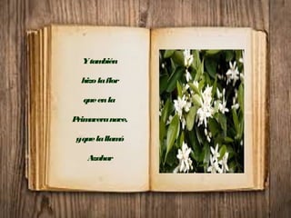 Ytambién
hizolaflor
queenla
Primaveranace,
yquelallamó
Azahar
 