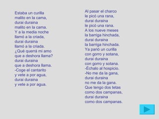 Estaba un curilla      Al pasar el charco
malito en la cama,     le picó una rana,
durai duraina          durai duraina
malito en la cama.     le picó una rana.
Y a la media noche     A los nueve meses
llamó a la criada,     la barriga hinchada,
durai duraina          durai duraina
llamó a la criada.     la barriga hinchada.
¿Qué querrá mi amo     Ya parió un curilla
que a deshora llama?   con gorro y sotana,
durai duraina          durai duraina
que a deshora llama.   con gorro y sotana.
-Coge el cantarito     -Échalo al hospicio.
y vete a por agua,     -No me da la gana,
durai duraina          durai duraina
y vete a por agua.     no me da la gana.
                       Que tengo dos tetas
                       como dos campanas,
                       durai duraina
                       como dos campanas.
 