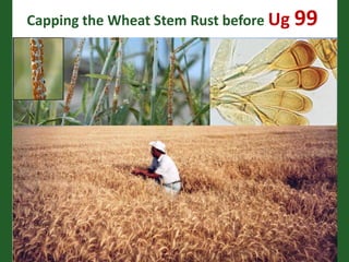 Romance to remember: A journey of four decades