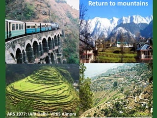 Romance to remember: A journey of four decades