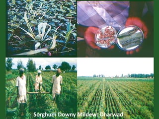 Romance to remember: A journey of four decades