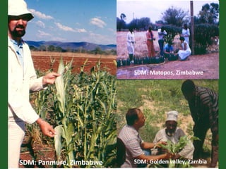 Romance to remember: A journey of four decades