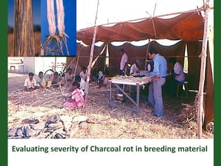 Romance to remember: A journey of four decades