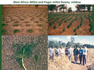 Romance to remember: A journey of four decades