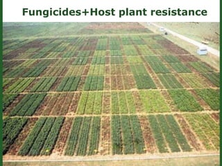 Romance to remember: A journey of four decades