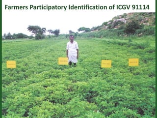 Romance to remember: A journey of four decades