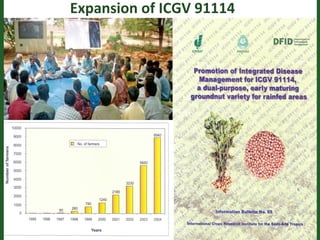 Romance to remember: A journey of four decades