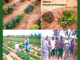 Romance to remember: A journey of four decades