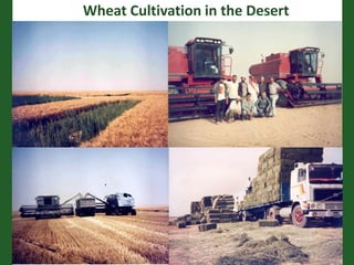 Romance to remember: A journey of four decades