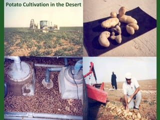 Romance to remember: A journey of four decades