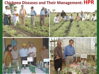 Romance to remember: A journey of four decades