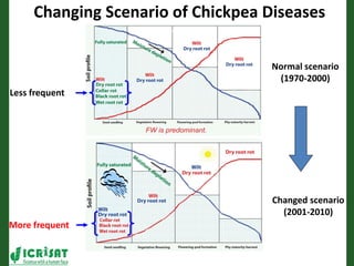Romance to remember: A journey of four decades