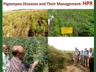 Romance to remember: A journey of four decades