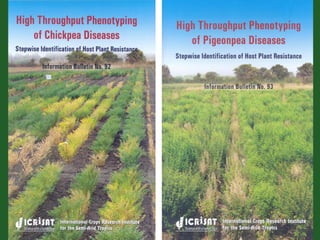 Romance to remember: A journey of four decades