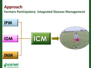 Romance to remember: A journey of four decades
