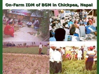 Romance to remember: A journey of four decades