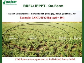 Romance to remember: A journey of four decades