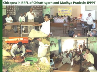 Romance to remember: A journey of four decades