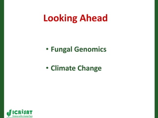 Romance to remember: A journey of four decades