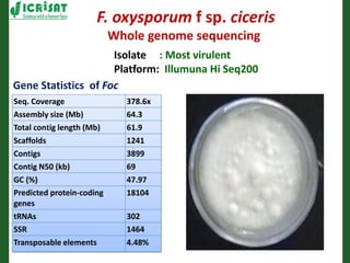 Romance to remember: A journey of four decades