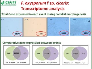 Romance to remember: A journey of four decades