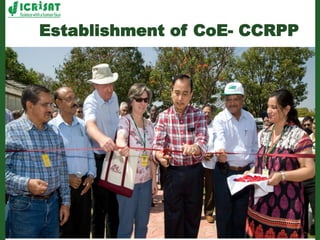 Romance to remember: A journey of four decades