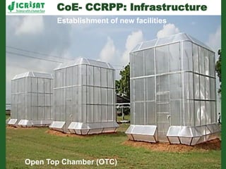 Romance to remember: A journey of four decades