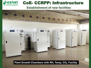 Romance to remember: A journey of four decades