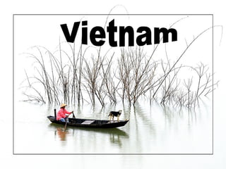 Romance vietnamienne 1