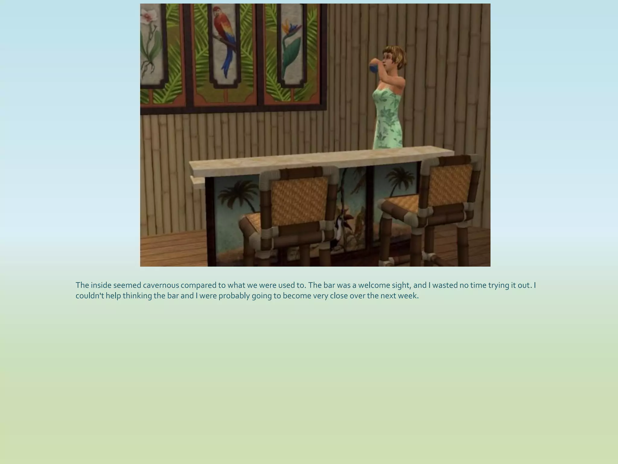 The inside seemed cavernous compared to what we were used to. The bar was a welcome sight, and I wasted no time trying it out. I
couldn't help thinking the bar and I were probably going to become very close over the next week.
 