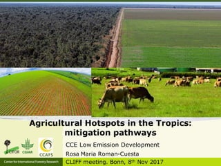 Agricultural Hotspots in the Tropics:
mitigation pathways
CCE Low Emission Development
Rosa Maria Roman-Cuesta
CLIFF meeting. Bonn, 8th Nov 2017
 