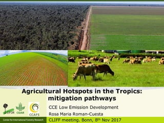 Roman-Cuesta, Rosa Maria - Climate Food and Farming CLIFF Network annual workshop November 2017