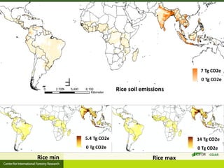 Roman-Cuesta, Rosa Maria - Climate Food and Farming CLIFF Network annual workshop November 2017