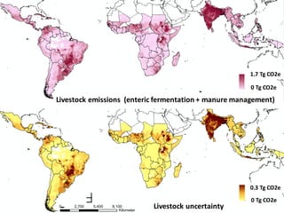 Roman-Cuesta, Rosa Maria - Climate Food and Farming CLIFF Network annual workshop November 2017