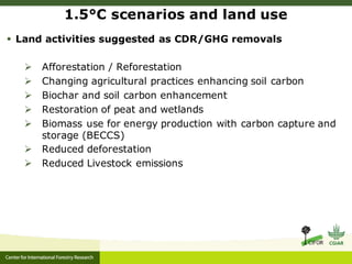 Roman-Cuesta, Rosa Maria - Climate Food and Farming CLIFF Network annual workshop November 2017