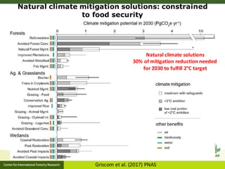 Roman-Cuesta, Rosa Maria - Climate Food and Farming CLIFF Network annual workshop November 2017